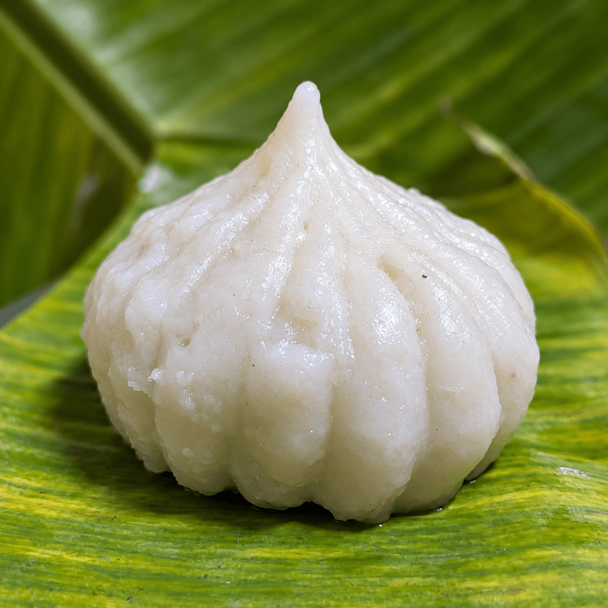 Nisargalahari Ukdiche Modak, freshly steamed